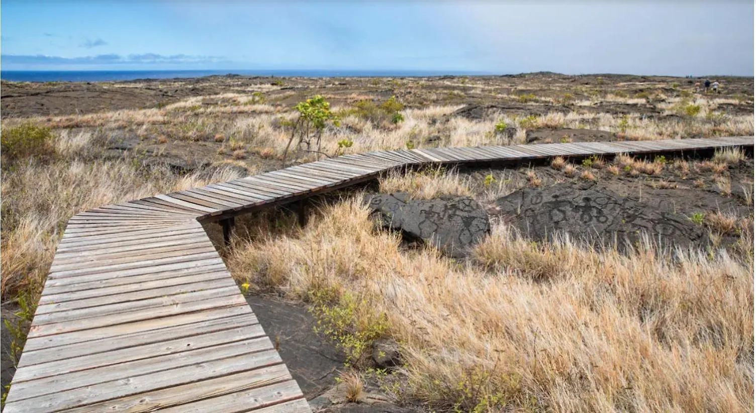 Casa de hóspedes Volcano One - Modern Studio With Lanai Near Volcano National Park Estados Unidos da América